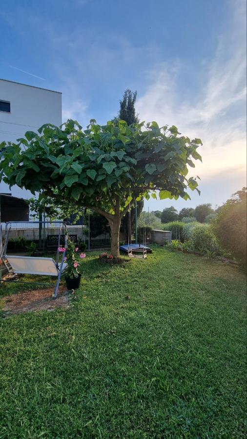 Guest House Jasmin Rovinj Exterior photo
