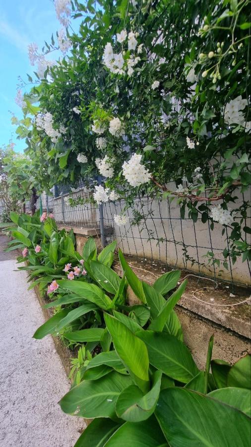 Guest House Jasmin Rovinj Exterior photo