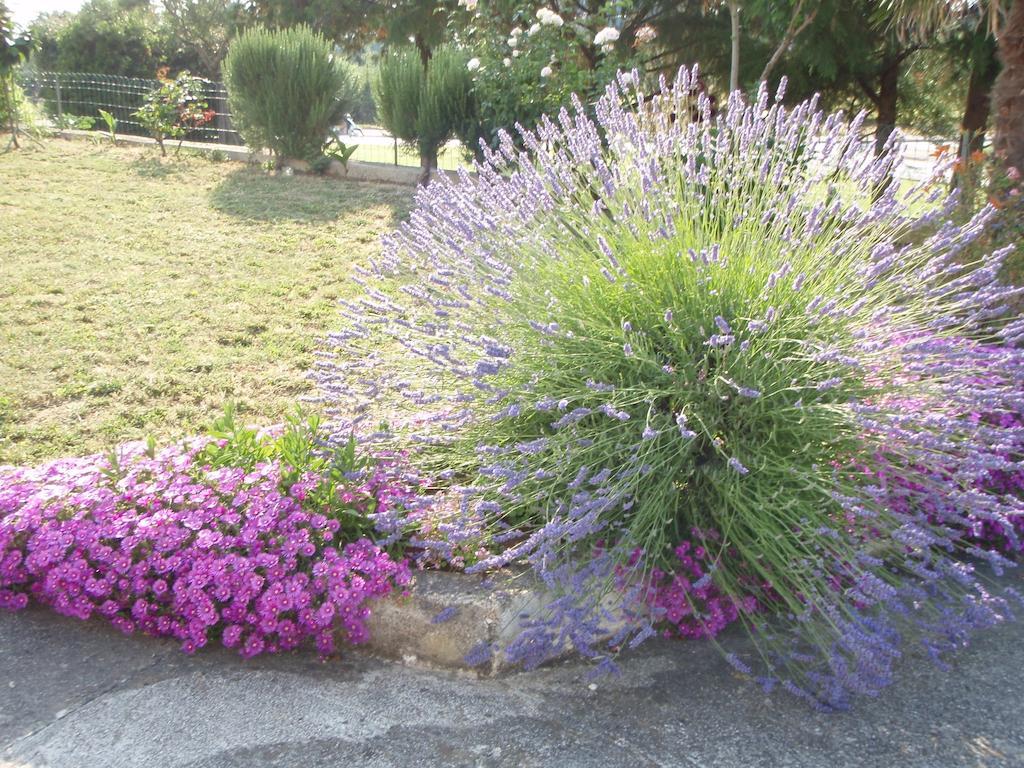 Guest House Jasmin Rovinj Exterior photo